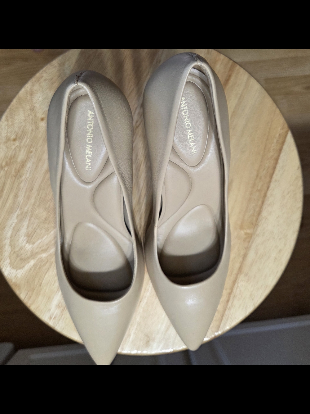 Antonio Melani Women's Pointed Toe Nude Pumps